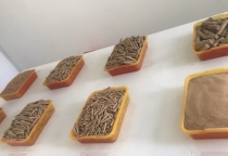 Chức năng của vỏ trấu