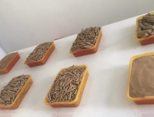 Chức năng của vỏ trấu