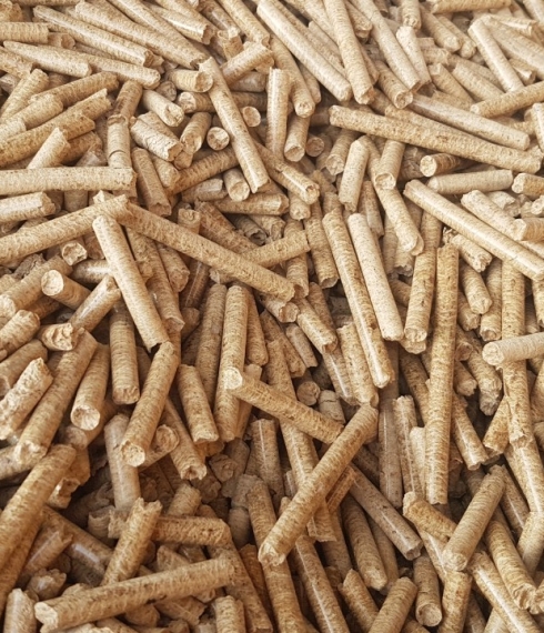 CÔNG TY TNHH NĂNG LƯỢNG RỒNG XANH